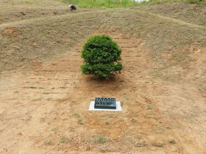 수목장